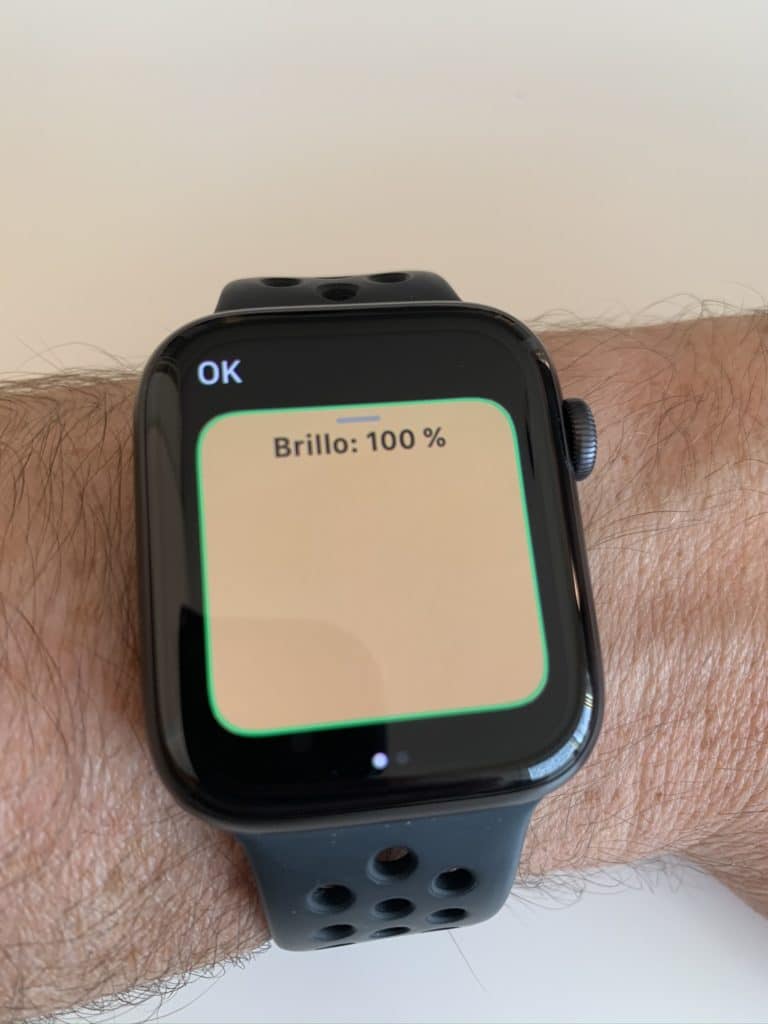 Subiendo el brillo de una bombilla desde la app Casa de Apple en el Apple Watch
